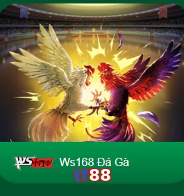 tf88